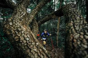 BIB: 
                            <button type="button" onclick="openModal(25393372)" class="btn btn-primary btn-sm float-right btn-popup" data-toggle="modal" data-target=".modal-high-quality">
                        <i class="fas fa-shopping-cart"></i> Add to Cart
                    </button>
                                            <button type="button" onclick="isThisMe(25393372, true)" class="btn btn-success btn-sm float-right btn-popup btn-isme hidden" data-toggle="tooltip" data-placement="bottom" title="นี่คือรูปของคุณใช่ไหม คลิกที่นี่เพื่อเอาเข้าอัลบั้ม">
                        <i class="fas fa-plus"></i> Add to album
                    </button>
                    <button type="button" onclick="isThisMe(25393372, false)" class="btn btn-warning btn-sm float-right btn-popup btn-isnotme hidden">
                        <i class="fas fa-ban"></i> Remove from album
                    </button>